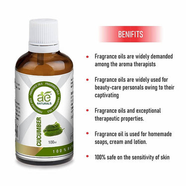 https://cdn.shopify.com/s/files/1/1857/6931/files/yoTUqRFDKP-250658.jpg?v=1736143743